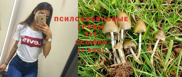 первитин Алзамай