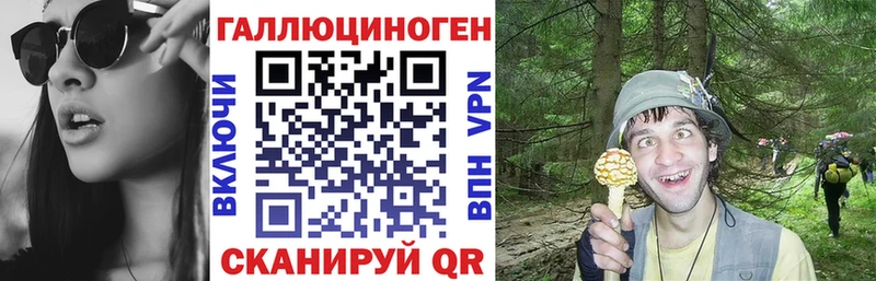 Галлюциногенные грибы Psilocybe  Ардон 